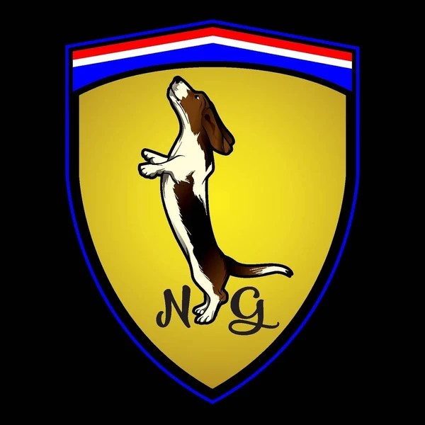 NG Supercars